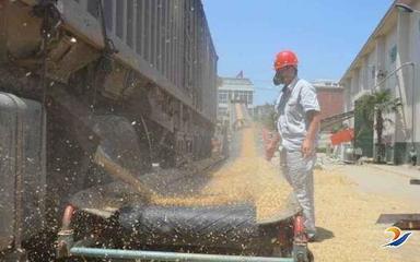 全市粮食和物资储备系统多管齐下备战夏粮收购