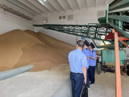 守住粮袋子 管好钱袋子——南京公布涉粮典型案例，切实规范粮食购销领域市场秩序