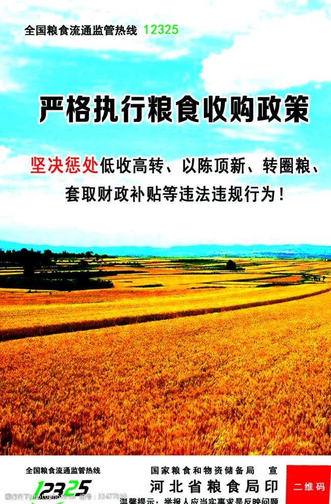 沃野藏丰实 粮食收购政策背后的民生底色