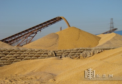 黑龙江省粮食收购基本结束 入统企业累计收购粮食1168亿斤