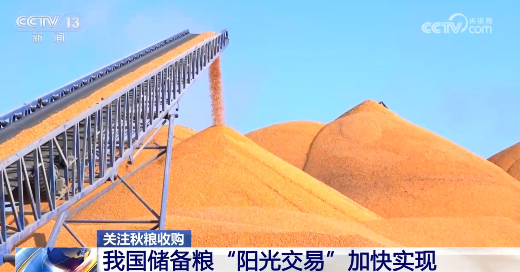全国秋粮收购过八成 