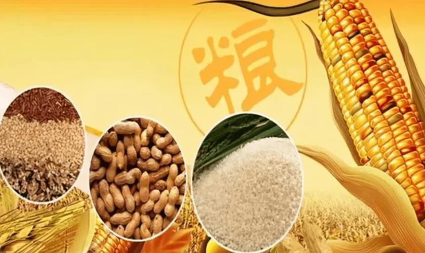 筑牢大国粮仓 解读秋粮收购2亿吨背后的战略意义
